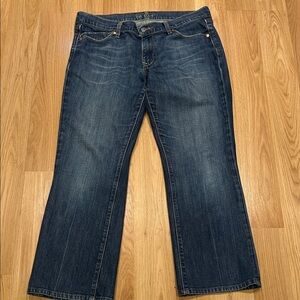 Old Navy The Flirt Blue Denim Jeans Size 10Short